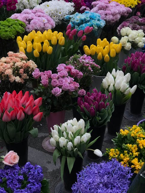 A vibrant display of fresh flowers arranged in various black and pink pots at a flower market, including yellow tulips with closed buds, pink tulips with slightly open petals, white tulips, purple and
