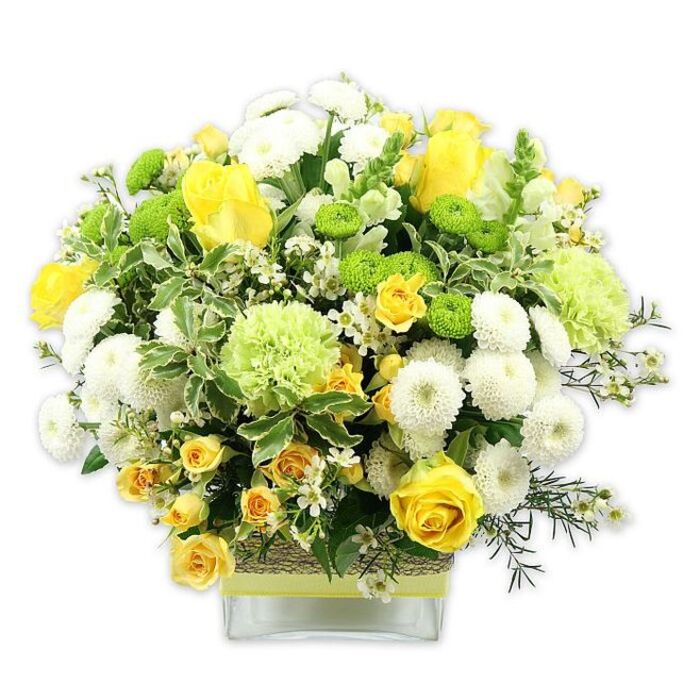 In this photograph, a vibrant, dome-shaped bouquet sits low in a clear square glass vase, standing out clearly against a clean white background. The arrangement is composed of sunny yellows, crisp whites, and refreshing greens, echoing the cheerful, everyday character of Tolworth's residential streets off King Charles Road. Plump yellow roses, some still in bud and others fully open, are dotted throughout the design, their velvety petals layered in gentle spirals, adding warmth and focus. Clusters of smaller yellow spray roses nestle between them, deepening the golden tones and introducing a more informal, garden-inspired charm. Alongside the roses, perfectly spherical white pompom chrysanthemums and white button mums create soft, cushion-like mounds, their densely packed petals lending volume and a sense of calm structure. Scattered through the composition, bright lime green button chrysanthemums catch the eye with their vivid hue, while larger, frilly pale green blooms - evocative of green carnations or decorative chrysanthemum varieties - provide a cool, textured counterpoint. The flowers are cradled in a generous collar of mixed foliage: variegated leaves edged in creamy white, darker green leaves with a glossy surface, and finer, more delicate greenery that threads in and out, giving an airy, natural silhouette. Tiny clusters of starry white filler flowers appear between the larger blossoms, brightening gaps and adding intricate detail. The square glass vase holds a grid of visible stems, and its center is wrapped neatly with a rustic band of woven natural fibre topped by a smooth strip of lime green ribbon, blending contemporary clarity with an earthy touch. This bouquet exudes freshness, joy, and gentle celebration, well suited as a centrepiece for a family meal, a congratulations gift, or a comforting delivery from Florist Tolworth to loved ones across the local area.