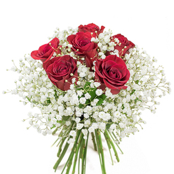 Illuminated against a background of pure white, this beautiful bouquet crafted near the heart of Tolworth combines expressive luxury with a sense of tranquil refinement. Six deep red roses bloom at its center, their velvety, spiraled petals conveying passion much like a heartfelt moment shared in Tolworth's charming local cafés. Around and between these resplendent roses, generous tufts of white baby's breath cluster and flow, softening the bouquet's visual impact with their cloud-like, delicate texture. The long stems-fresh and green-are expertly aligned and tied, their natural beauty hinting at the freshness of flowers gathered from a nearby Tolworth market. The bouquet exudes both boldness and tenderness, its elegantly balanced design making it perfect for conveying love, commemorating a special day, or simply bringing grace to any setting in the Tolworth area. Its textured depth, vivid colours, and subtle fragrance evoke a tradition of local floristry that values artistry, care, and the gentle emotional resonance that flowers can bestow.